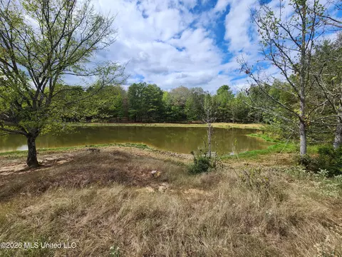 58 Rowell Rd, Coldwater, MS 38618 photo 8