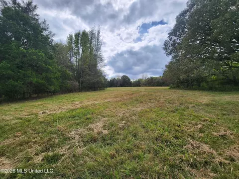 58 Rowell Rd, Coldwater, MS 38618 photo 12