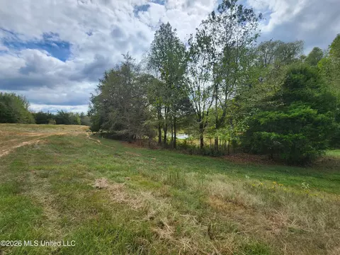 58 Rowell Rd, Coldwater, MS 38618 photo 10