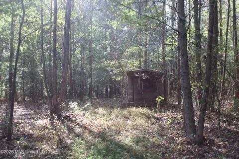 3 Horn Lake Rd, Nesbit, MS 38651 photo 44
