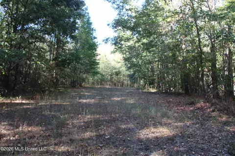 3 Horn Lake Rd, Nesbit, MS 38651 photo 59