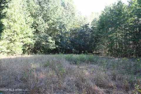3 Horn Lake Rd, Nesbit, MS 38651 photo 55