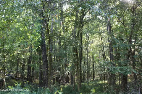 3 Horn Lake Rd, Nesbit, MS 38651 photo 39