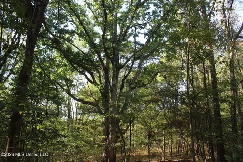 3 Horn Lake Rd, Nesbit, MS 38651 photo 50