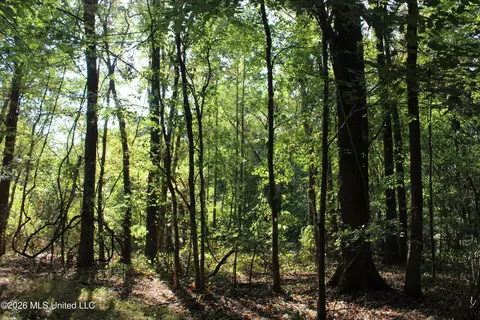 3 Horn Lake Rd, Nesbit, MS 38651 photo 41