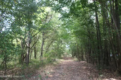3 Horn Lake Rd, Nesbit, MS 38651 photo 23