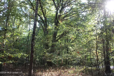 3 Horn Lake Rd, Nesbit, MS 38651 photo 63