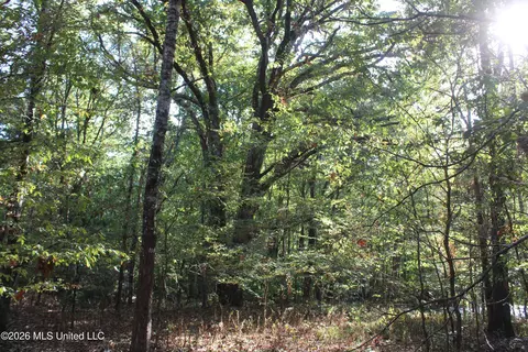 4 Star Landing Rd, Nesbit, MS 38651 photo 63