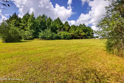 Other - 75 Three Oaks Rd, Perkinston, MS 39573 photo 17 of 42