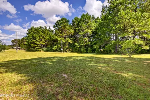 Other - 75 Three Oaks Rd, Perkinston, MS 39573 photo 11 of 42