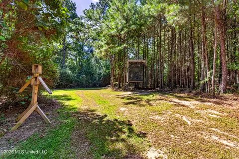 Exterior - 75 Three Oaks Rd, Perkinston, MS 39573 photo 11 of 20