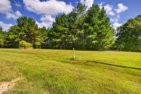 Other - 75 Three Oaks Rd, Perkinston, MS 39573 photo 7 of 42