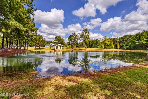 View/Area - 75 Three Oaks Rd, Perkinston, MS 39573 photo 2 of 3