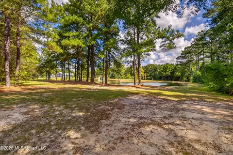 Exterior - 75 Three Oaks Rd, Perkinston, MS 39573 photo 7 of 20