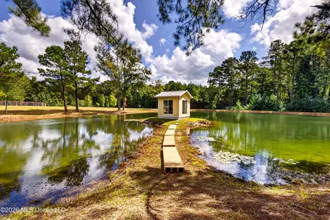 Other - 75 Three Oaks Rd, Perkinston, MS 39573 photo 5 of 42
