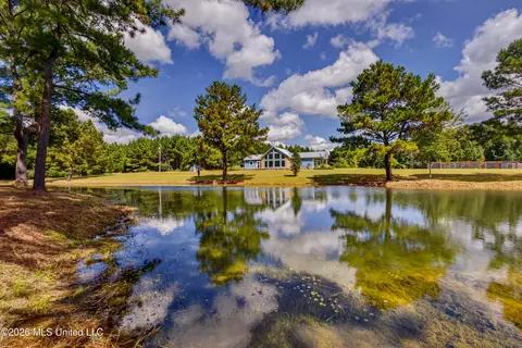 Other - 75 Three Oaks Rd, Perkinston, MS 39573 photo 6 of 42