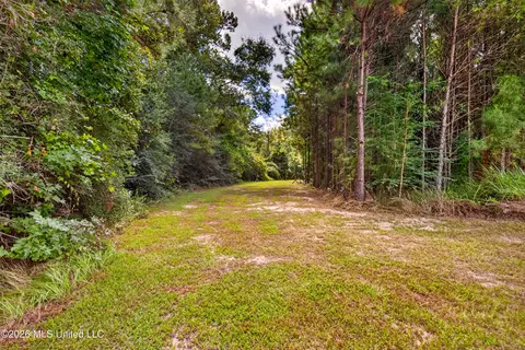 Other - 75 Three Oaks Rd, Perkinston, MS 39573 photo 15 of 42