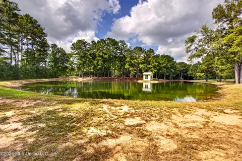 View/Area - 75 Three Oaks Rd, Perkinston, MS 39573 photo 3 of 3