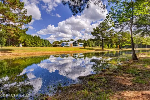 Other - 75 Three Oaks Rd, Perkinston, MS 39573 photo 3 of 42
