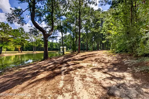 Other - 75 Three Oaks Rd, Perkinston, MS 39573 photo 4 of 42