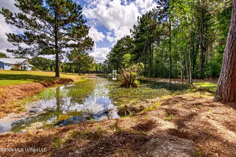 View/Area - 75 Three Oaks Rd, Perkinston, MS 39573 photo 1 of 3