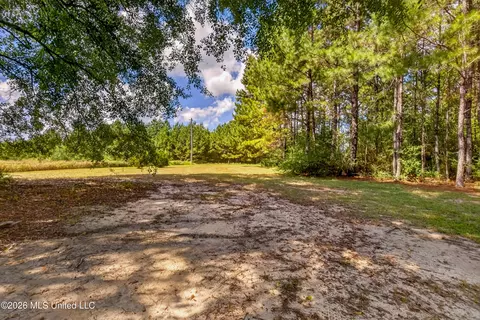 Exterior - 75 Three Oaks Rd, Perkinston, MS 39573 photo 8 of 20