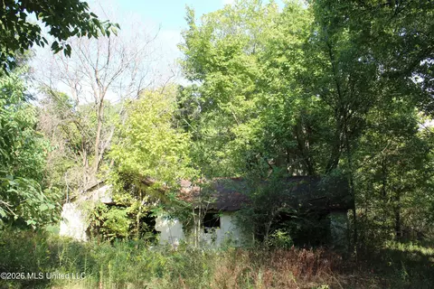 5 Star Landing Rd, Nesbit, MS 38651 photo 35