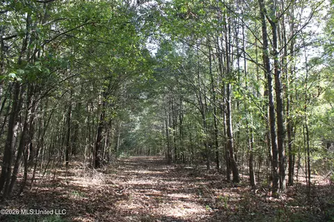 5 Star Landing Rd, Nesbit, MS 38651 photo 45
