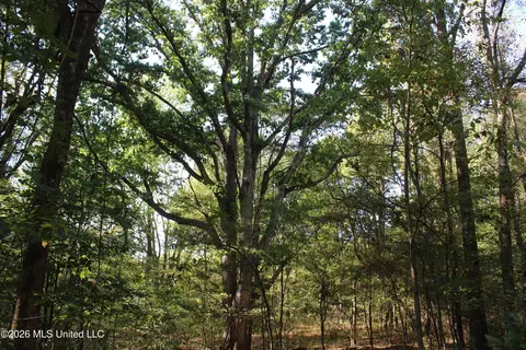 5 Star Landing Rd, Nesbit, MS 38651 photo 51