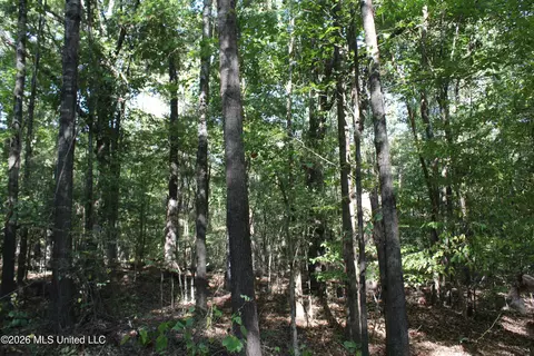 5 Star Landing Rd, Nesbit, MS 38651 photo 50