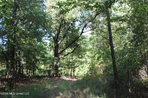 5 Star Landing Rd, Nesbit, MS 38651 photo 39