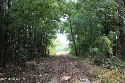 6 Star Landing Rd, Nesbit, MS 38651 photo 27