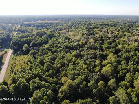 6 Star Landing Rd, Nesbit, MS 38651 photo 24