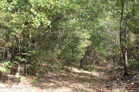 6 Star Landing Rd, Nesbit, MS 38651 photo 4