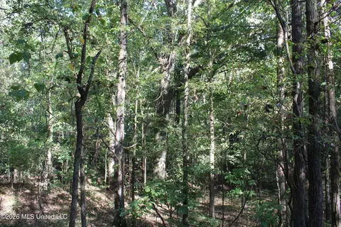6 Star Landing Rd, Nesbit, MS 38651 photo 60