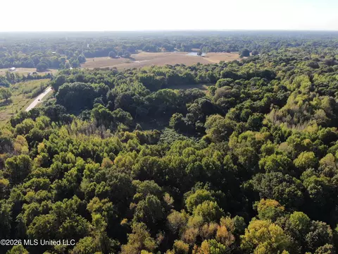 6 Star Landing Rd, Nesbit, MS 38651 photo 25
