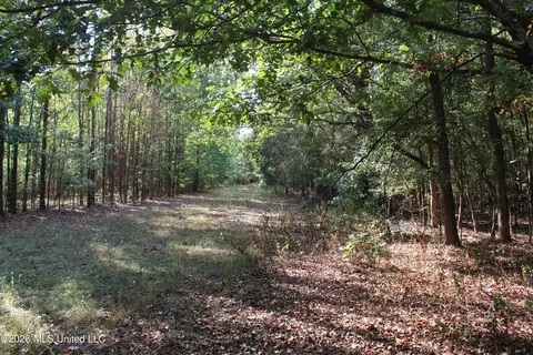 7 Star Landing Rd, Nesbit, MS 38651 photo 5