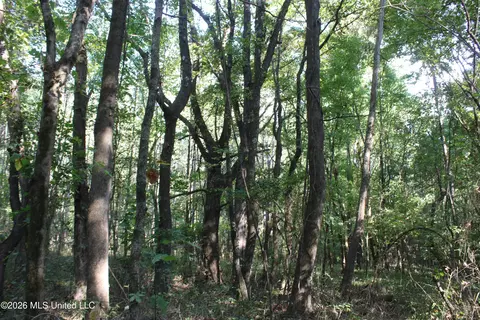 7 Star Landing Rd, Nesbit, MS 38651 photo 58