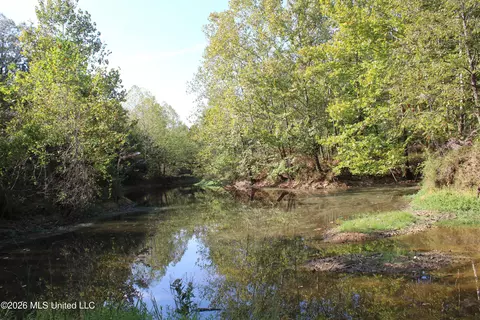 7 Star Landing Rd, Nesbit, MS 38651 photo 30
