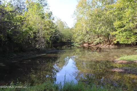 7 Star Landing Rd, Nesbit, MS 38651 photo 41