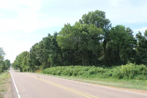 7 Star Landing Rd, Nesbit, MS 38651 photo 31