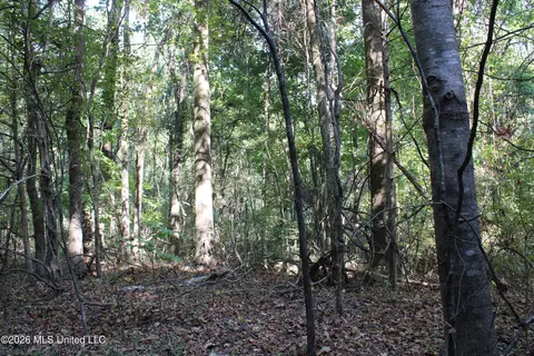 8 Star Landing Rd, Nesbit, MS 38651 photo 44