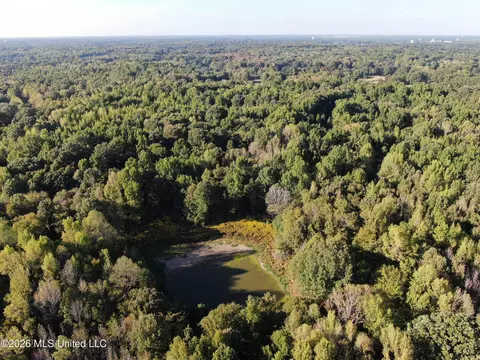 8 Star Landing Rd, Nesbit, MS 38651 photo 28