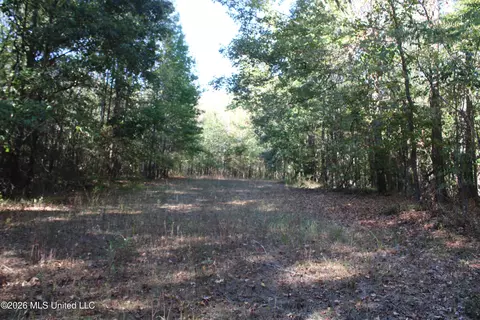 8 Star Landing Rd, Nesbit, MS 38651 photo 59