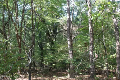 8 Star Landing Rd, Nesbit, MS 38651 photo 49