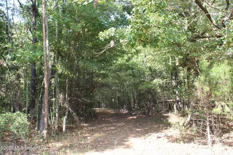 9 Star Landing Rd, Nesbit, MS 38651 photo 40
