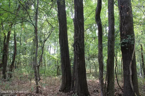 9 Star Landing Rd, Nesbit, MS 38651 photo 14