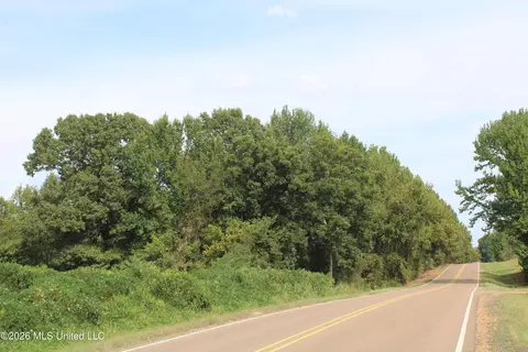 9 Star Landing Rd, Nesbit, MS 38651 photo 35