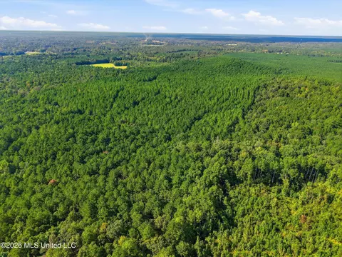 Levi Cooper Road, Braxton, MS 39044 photo 3
