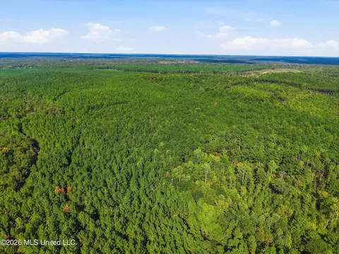 Levi Cooper Road, Braxton, MS 39044 photo 4
